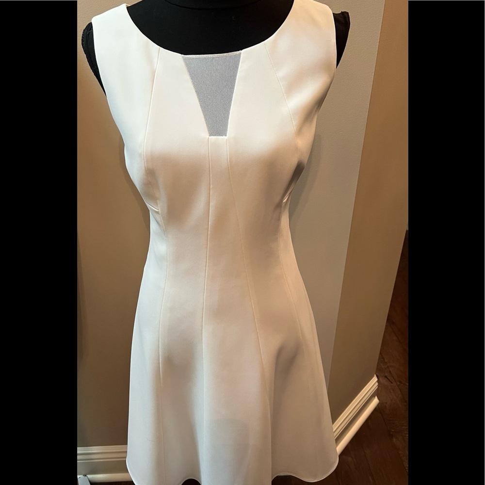 T Tahari V Neck Mesh Ivory Swing Dress Size 10